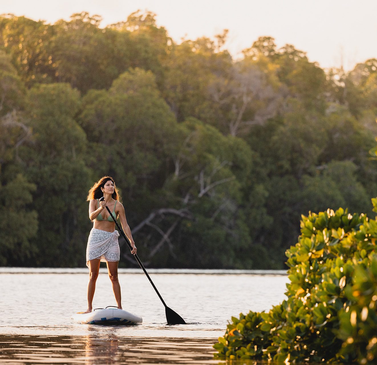 Mida SUP 7 2024 TC