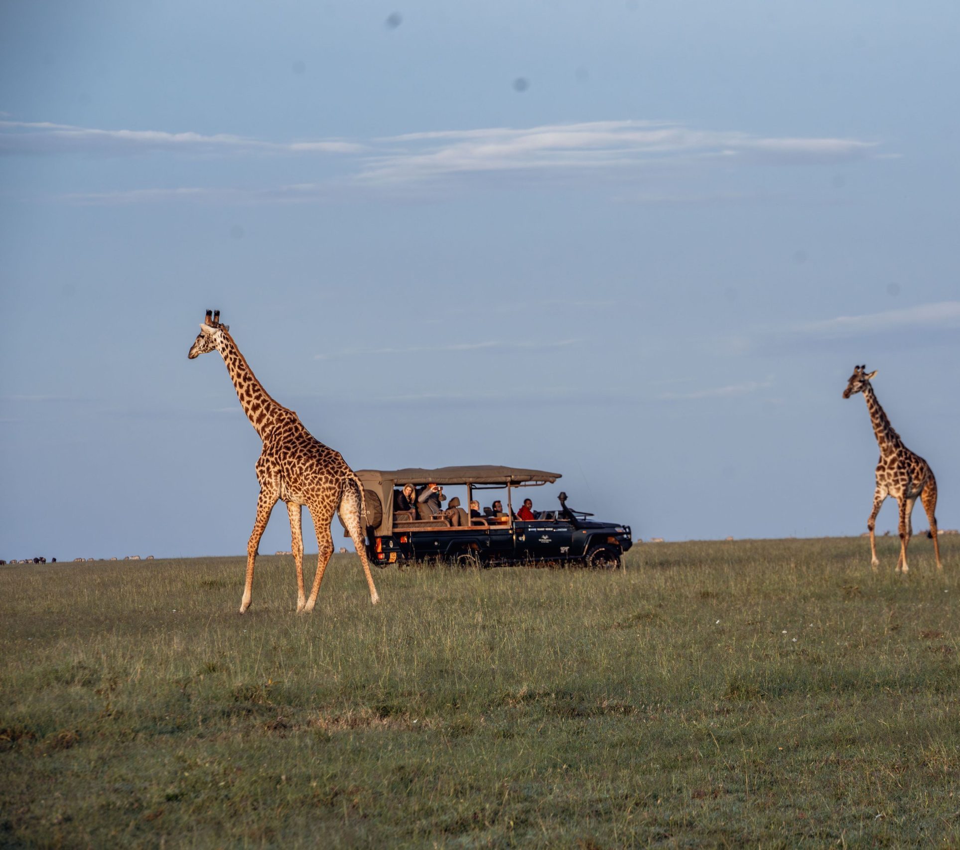 Game drive 3