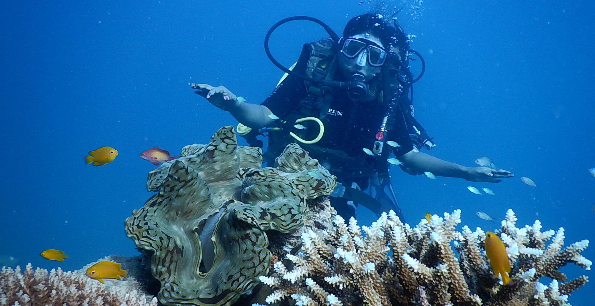 Watamu-Scuba