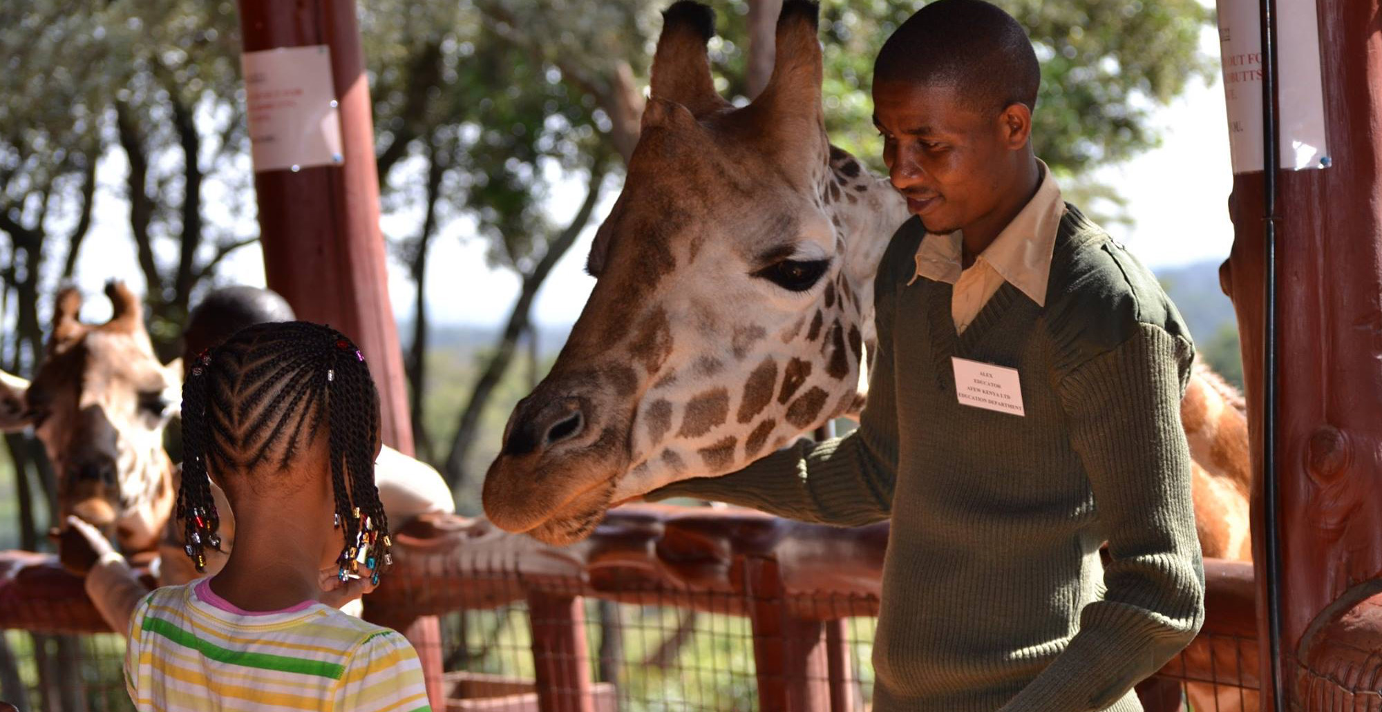 giraffe_centre_1