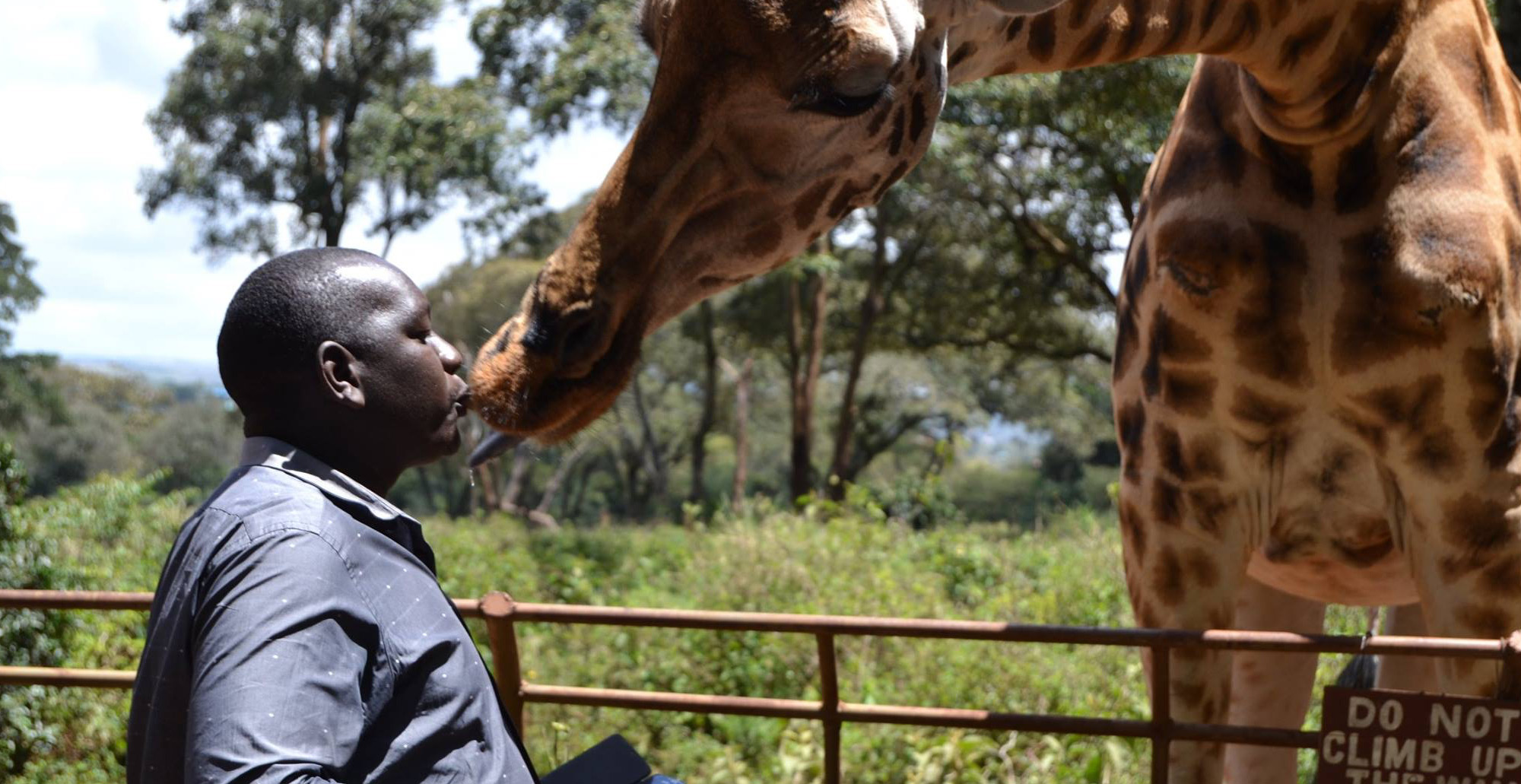 giraffe_centre_3
