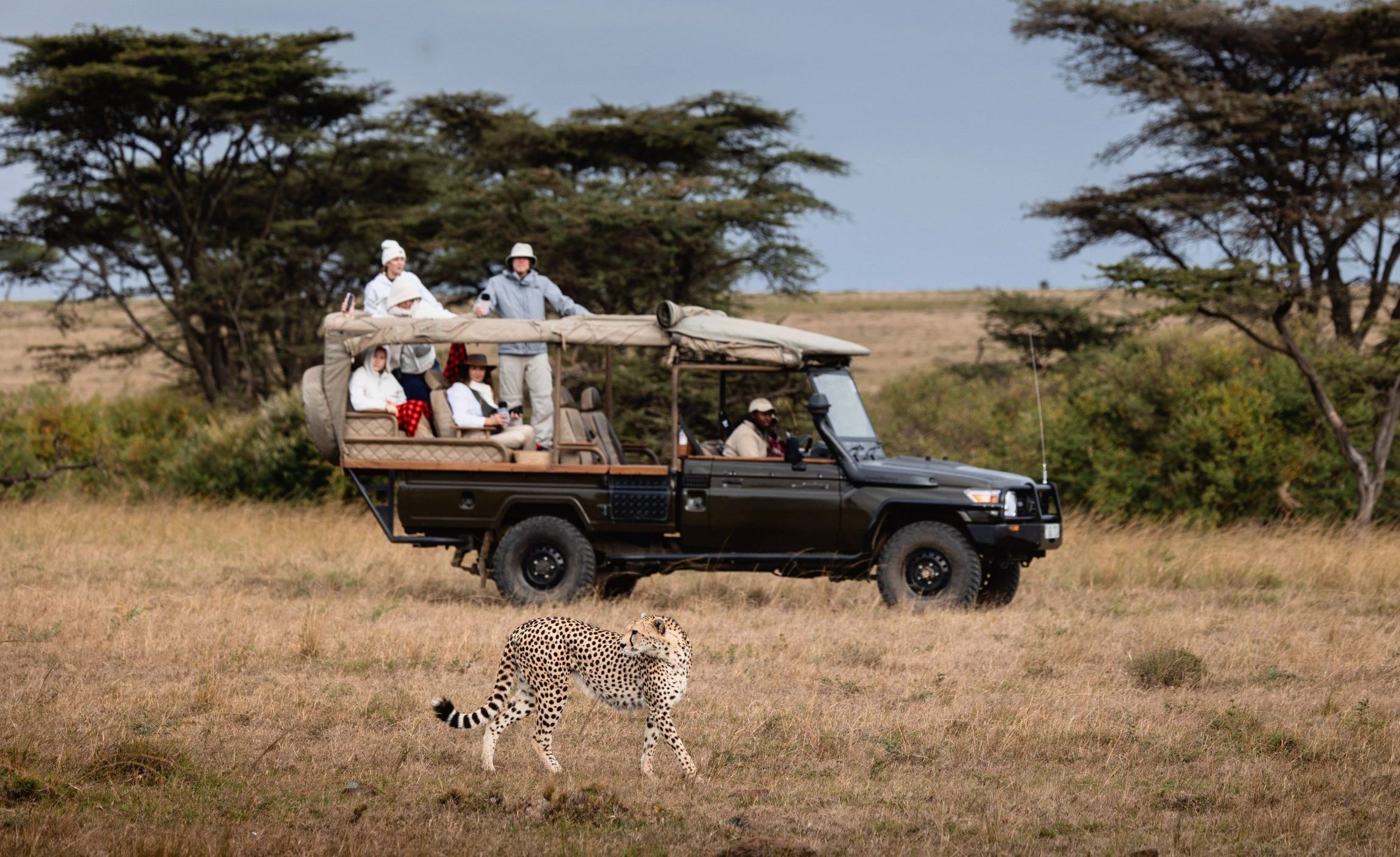 Game Drive 35 – 2025 TC (1)