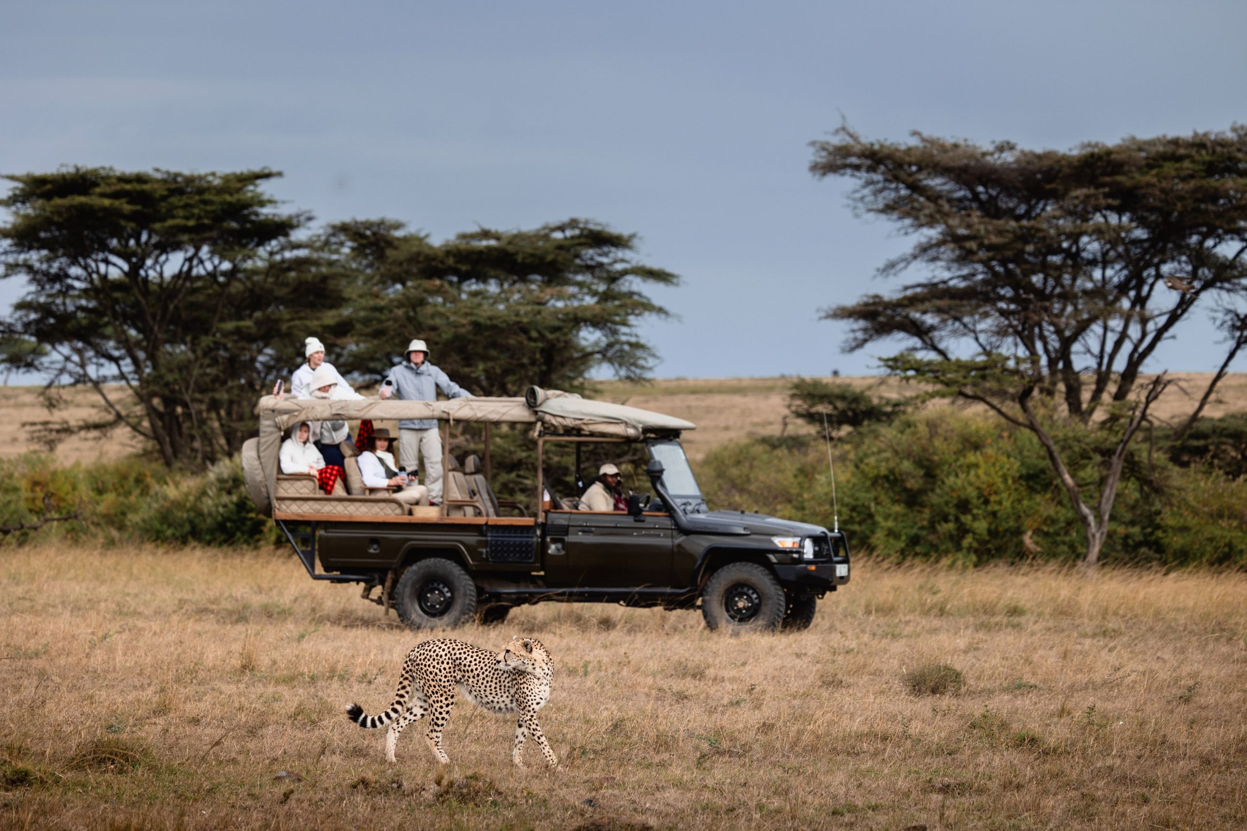 River-Camp-Game Drive 35 – 2025 TC (1)