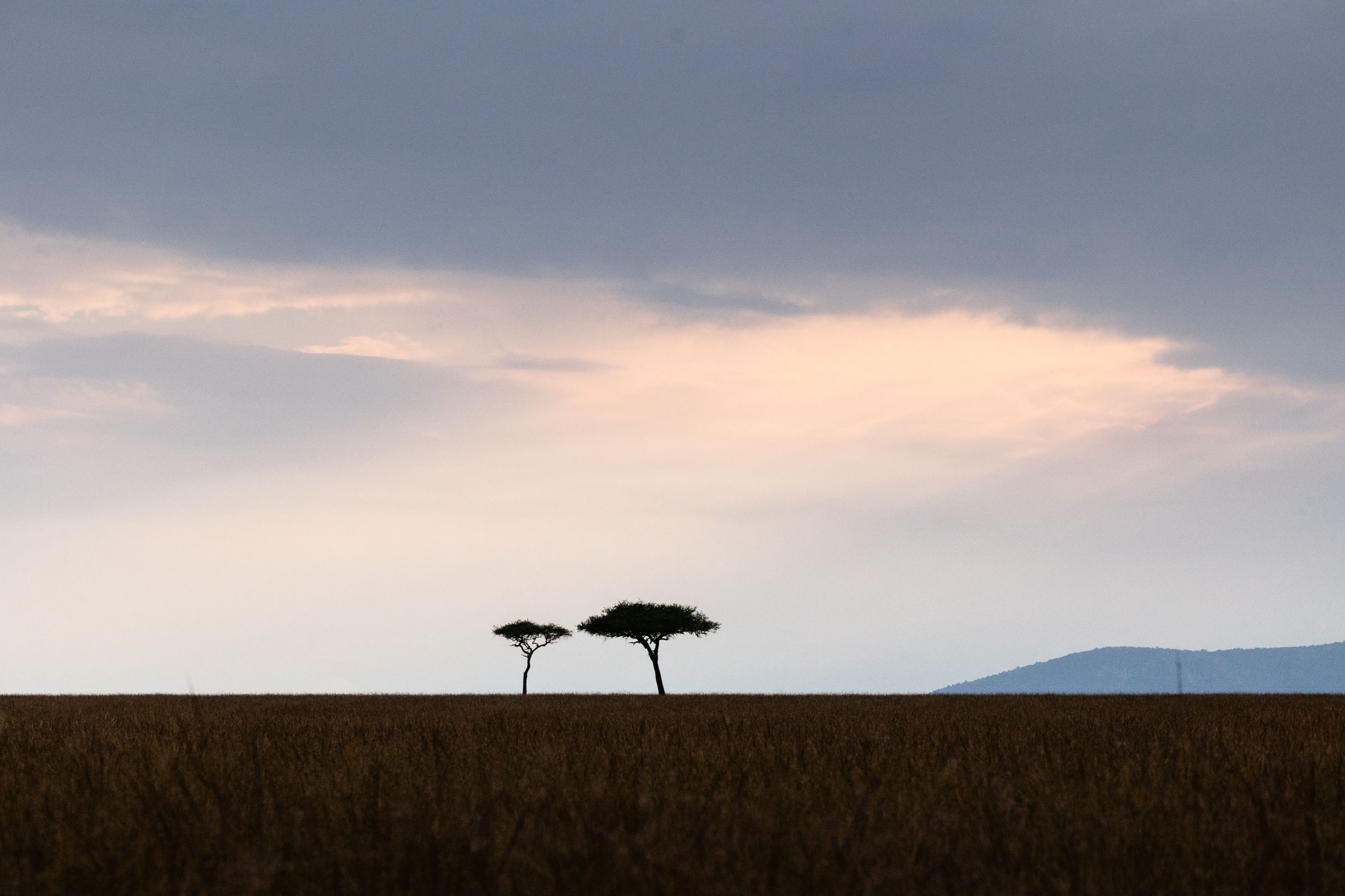 Walking Safari Views 1 – 2025 TC (1)