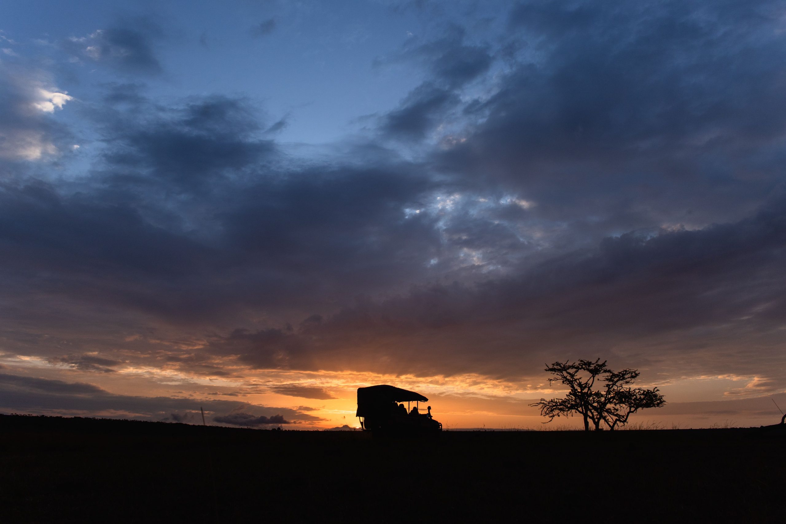 Game Drive 41 – 2025 TC